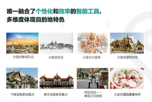 定制游公司的竞争策略 旅游企业的软硬件配置解析