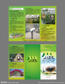 农业产品融合旅游 开启田园体验新篇章