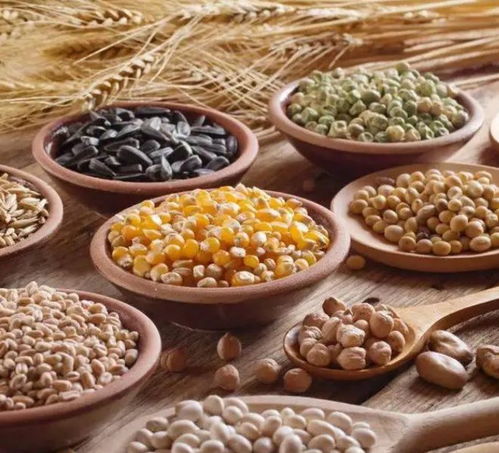 延寿新发现 饮食五要点，或可增寿十年——从谷物种植到餐桌健康的科学启示