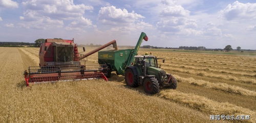 进口美国大豆 透视我国农业战略与全球市场联动